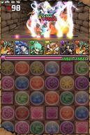 �p�Y�h���`�������W�̉摜