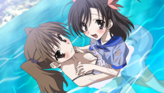 �A�C�����f�C�Y�̉摜