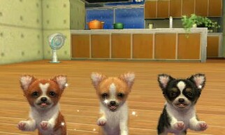 nintendogs + cats  & NewtỶ摜