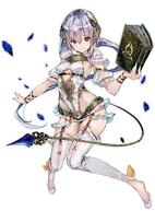 �\�t�B�[�̃A�g���G �`�s�v�c�Ȗ{�̘B���p�m�`�̉摜