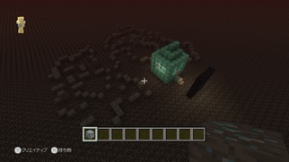 Minecraft: Wii U Edition̉摜