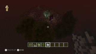 Minecraft: Wii U Edition̉摜