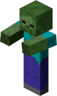 g_`RNV V̉摜