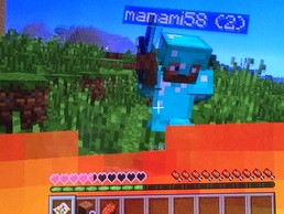 Minecraft: Wii U Edition̉摜