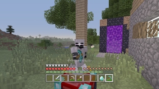 Minecraft: Wii U Edition̉摜