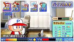 �p���v�� �T�N�Z�X�E���W�F���Y�̉摜