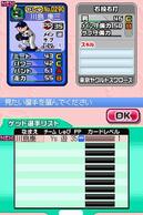 �v���싅 �t�@�~�X�^DS 2010�̉摜