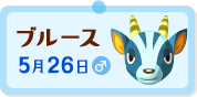 "ブルース"