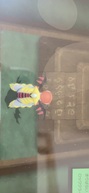 |PVCjOp[̉摜
