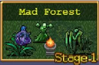 Mad Forest