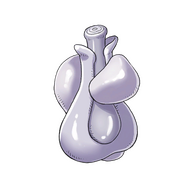 ���C�h�C���A�r�X�̉摜