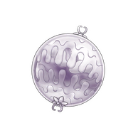 ���C�h�C���A�r�X�̉摜