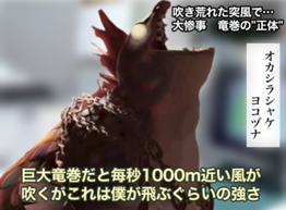 XvgD[3̉摜