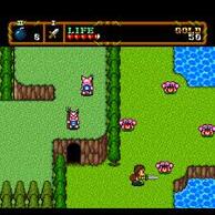 �j���[�g�s�A�̉摜