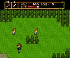 �j���[�g�s�A�̉摜