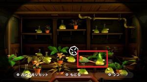 5②