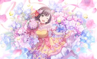 �v���W�F�N�g�Z�J�C�̉摜