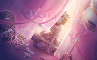 �v���W�F�N�g�Z�J�C�̉摜