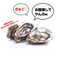 ���̎q�����点����̃��e�S���w ���p���փ��e�x�f�f�����w�K�Q�[���̉摜