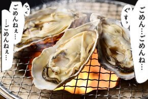 ���̎q�����点����̃��e�S���w ���p���փ��e�x�f�f�����w�K�Q�[���̉摜