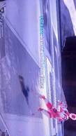dEHb`̉摜