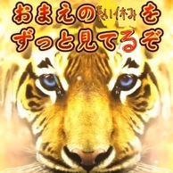 XvgD[3̉摜