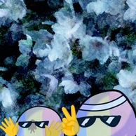 XvgD[3̉摜