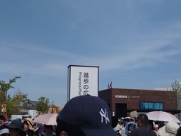 XvgD[3̉摜