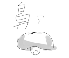 XvgD[3̉摜