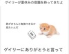 ̃[U[e摜