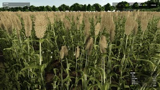 Farming Simulator 25�̉摜