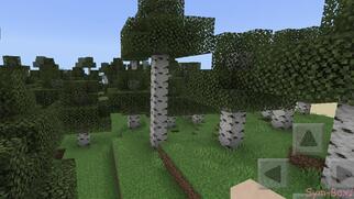 Minecraft�̉摜