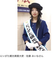 �d���E�H�b�`3 �X�V�̉摜