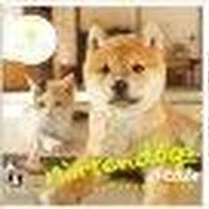 Nintendogs Cats 柴 Newフレンズの攻略情報一覧 56件 ワザップ