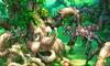 ` -LEGEND OF MANA-̉摜