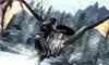 The Elder Scrolls V: Skyrim̉摜