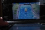 川で泳ぐ！？飛び森のユーザー投稿スナップ