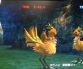 eB[_sjV[Yt̃[U[eXibv