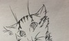 OhEZtgEI[gEoCXVeB̉摜