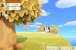 三脚カメラの謎のユーザー投稿スナップ