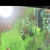 |PuAg_Ch
