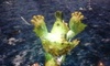 Ubv!̉摜