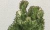 Ubv!̉摜