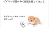 Ubv!̉摜