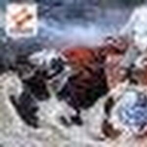 マクシーム使用方法 キャッスルヴァニア 白夜の協奏曲 ゲーム攻略 ワザップ